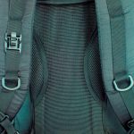 Mochila Chompipe 50 Negra - Imagen 7